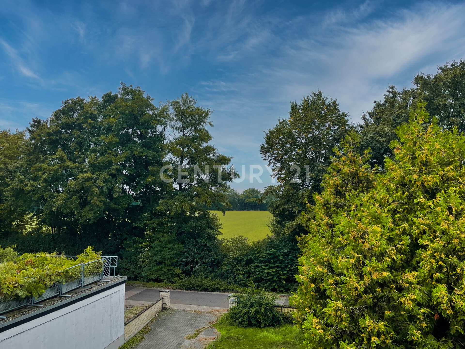 Ausblick vom Balkon zum Feld